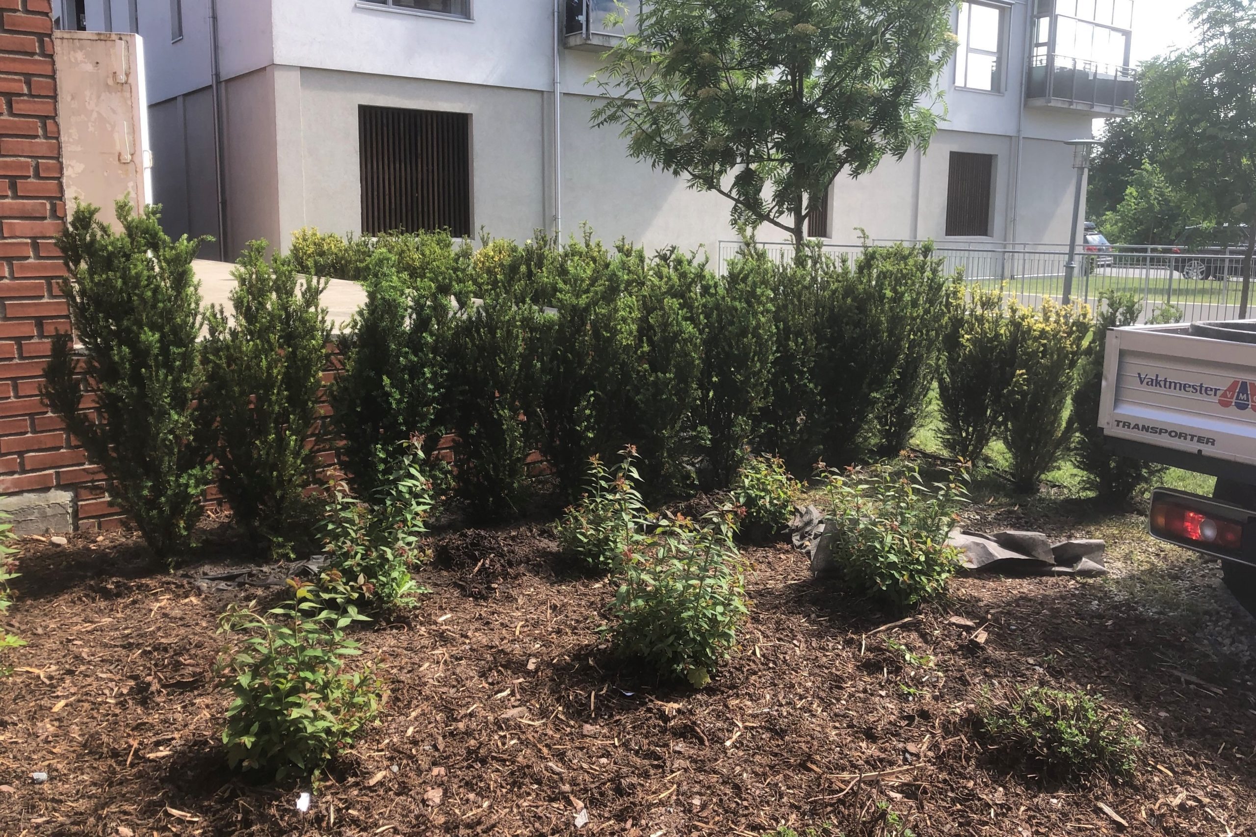 Beplanting2