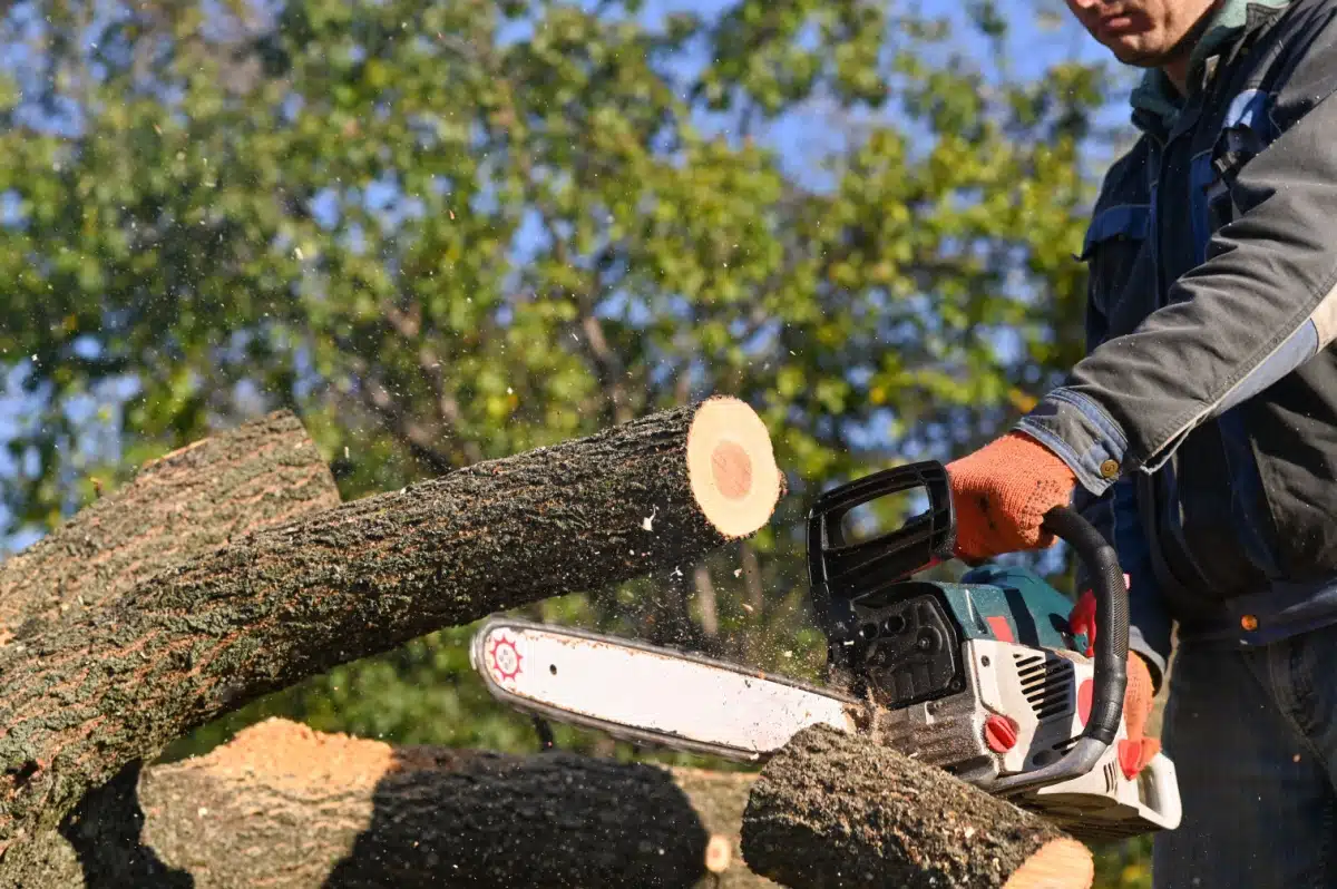 trefelling